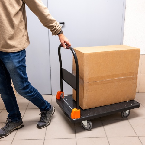 Wózek transportowy platformowy SN300A